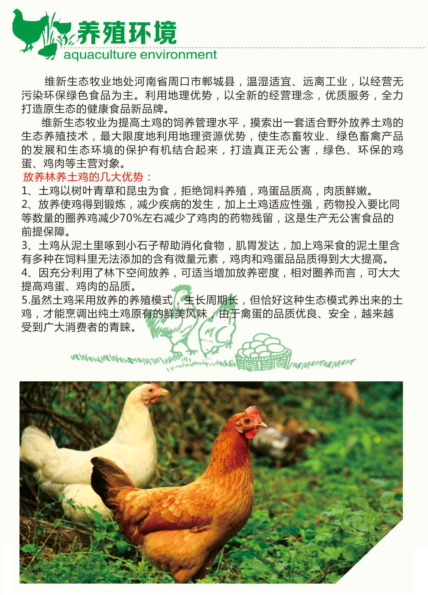 養殖環境.jpg